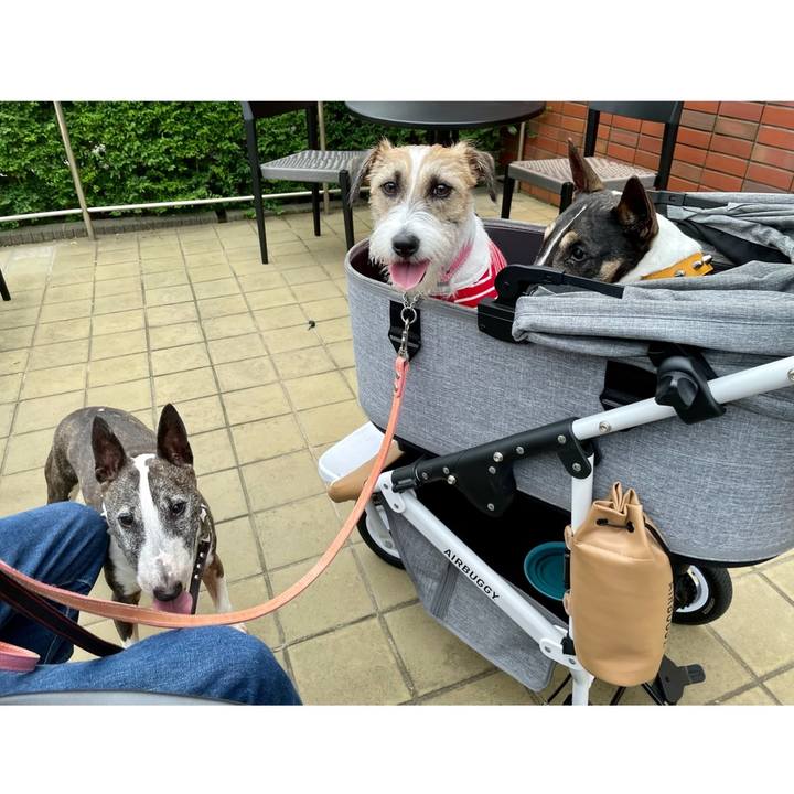 87e674b9 9ab3 4d5a 84f9 c3148db16a53 1625920771116