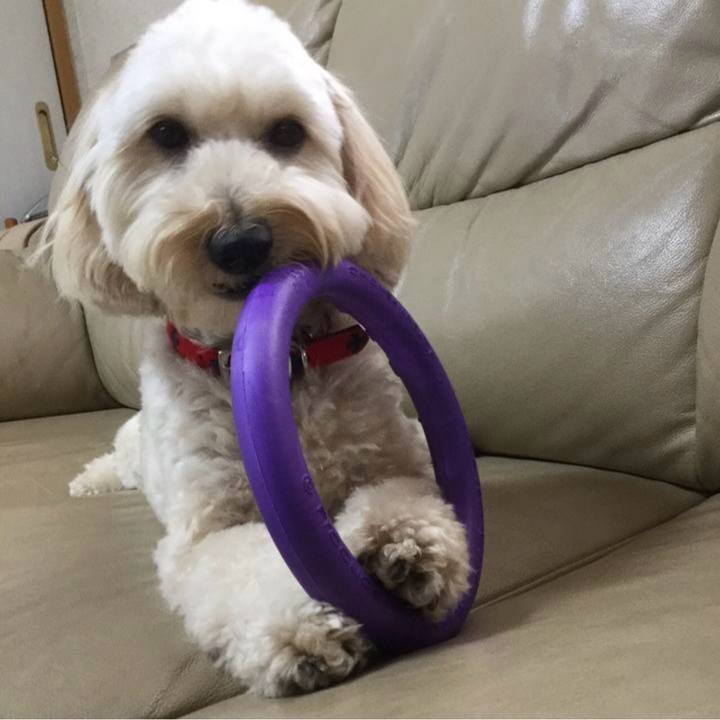 87e6766f 69b6 424e b271 357c907bb2ec 1757564034681