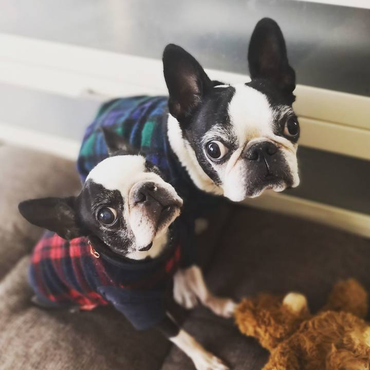 87e69dc3 09d1 4c06 a630 927e6d574f8c 1544867436952