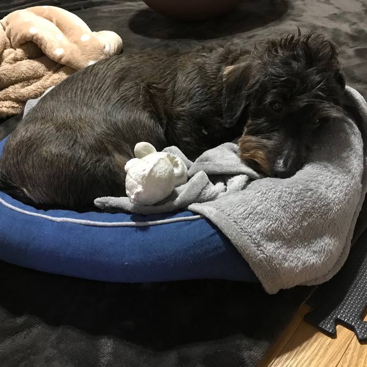 87e6d3f3 6769 458f 8b23 67a6d9dd304f 1544712957620