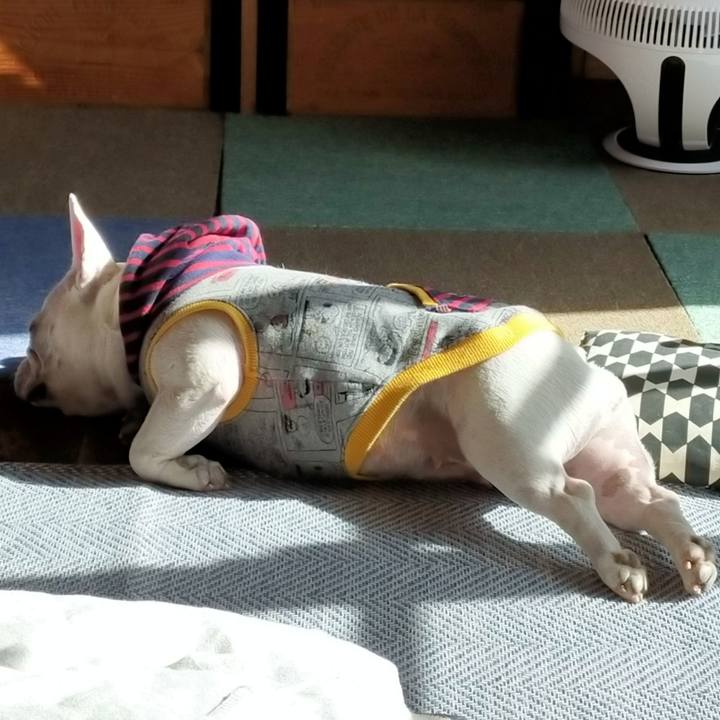 87e6efab f3c1 46ca a9c2 d55604c1cbe9 1668984871048