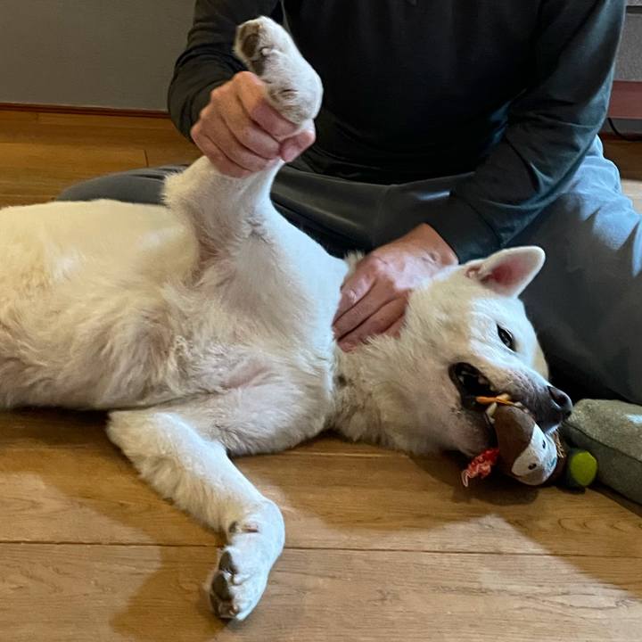 87e6f338 1267 43a0 b333 b447ffd0e95e 1769080276168