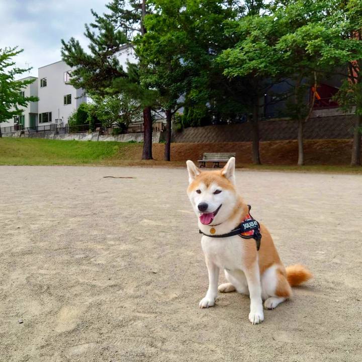 87e7369e a62b 419d 9549 f429fb0e2176 1627793039695