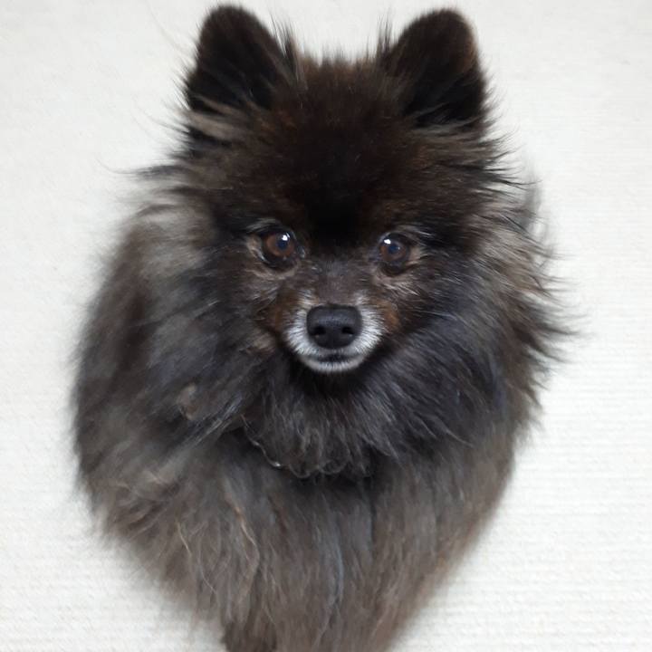 87e77bcc a19c 4cb1 b19b fa8311e15cb6 1519156018455