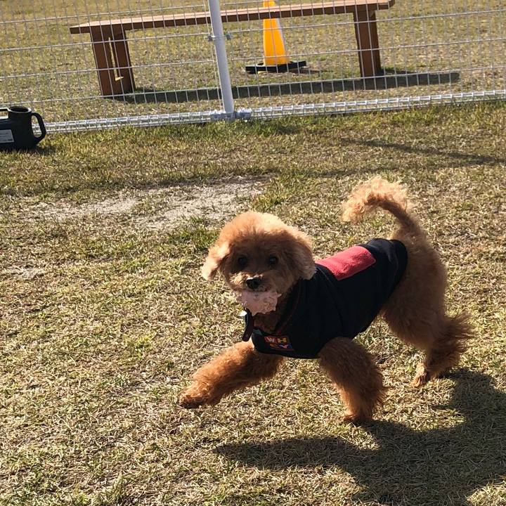 87e78747 1953 4001 93cb 9ceb91898a1b 1603599393077