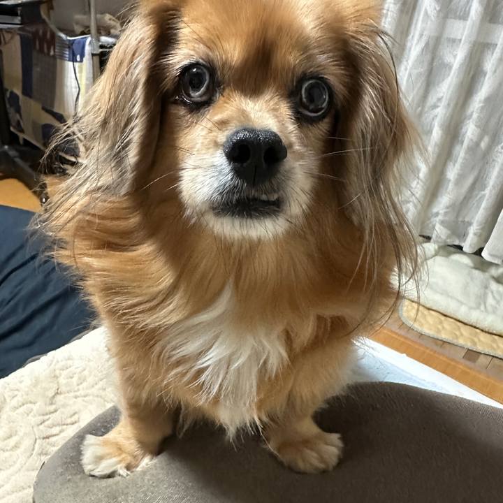 87e7a22c 0245 4b14 b9c2 831f25db36ed 1732222440295