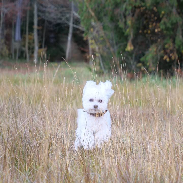 87e7a94e 85b9 4fd6 b7c9 f9efcf4e5b61 1762118702705