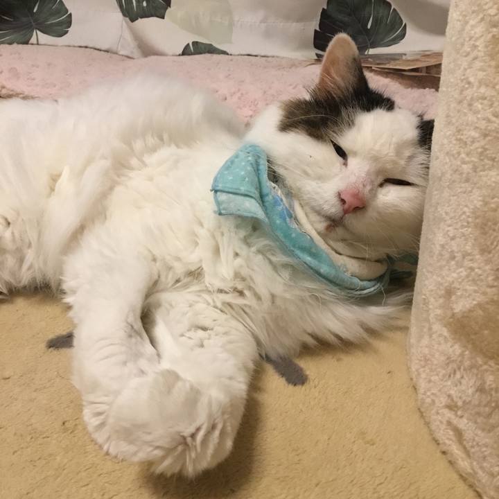 87e81278 2e40 46d4 bf7f 4d114f5950aa 1575191513653