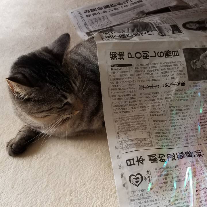 87e842ad 9c22 401f ae96 f9762a9a24ce 1693275234135