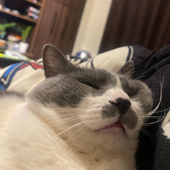 87e85cbe 4575 4a9f b2ce 7e762bf7f942 1741871274460