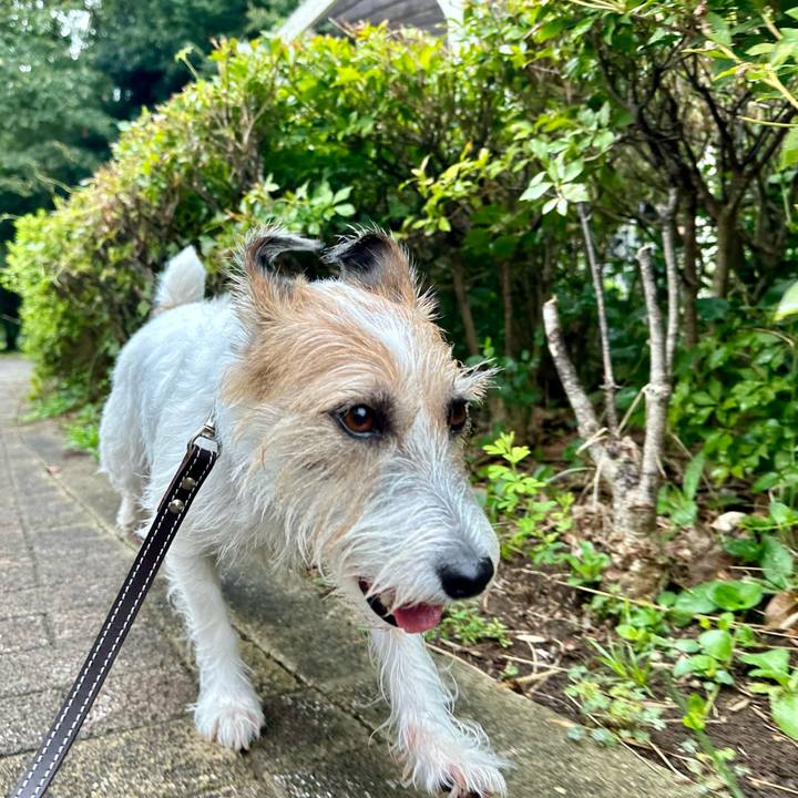 87e86069 78a6 4904 bace 3f01af4cf1eb 1727019753579