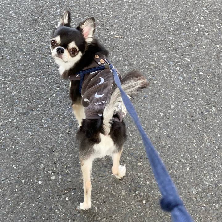 87e895f6 8c7d 4c00 89b1 9457610aca5e 1682782318621