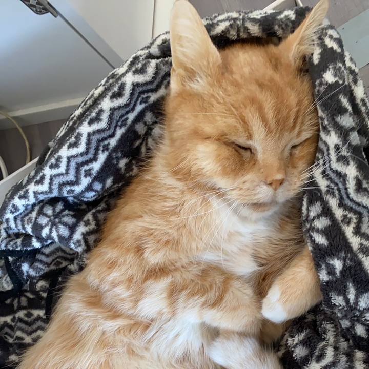 87e8c8aa 1570 4ca1 9976 d2580d15156c 1681972865672