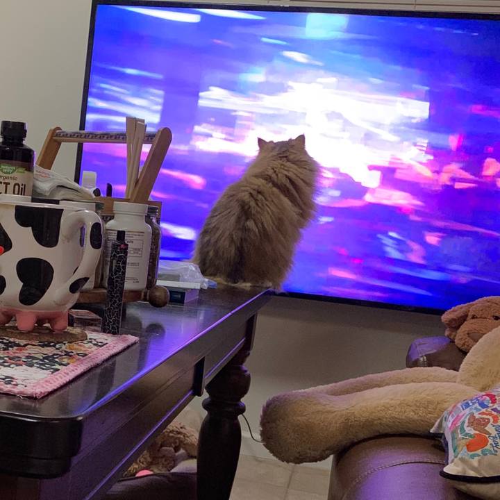 87e93fdd 7a0f 4fb8 9ed5 4476dab3c417 1571356095125