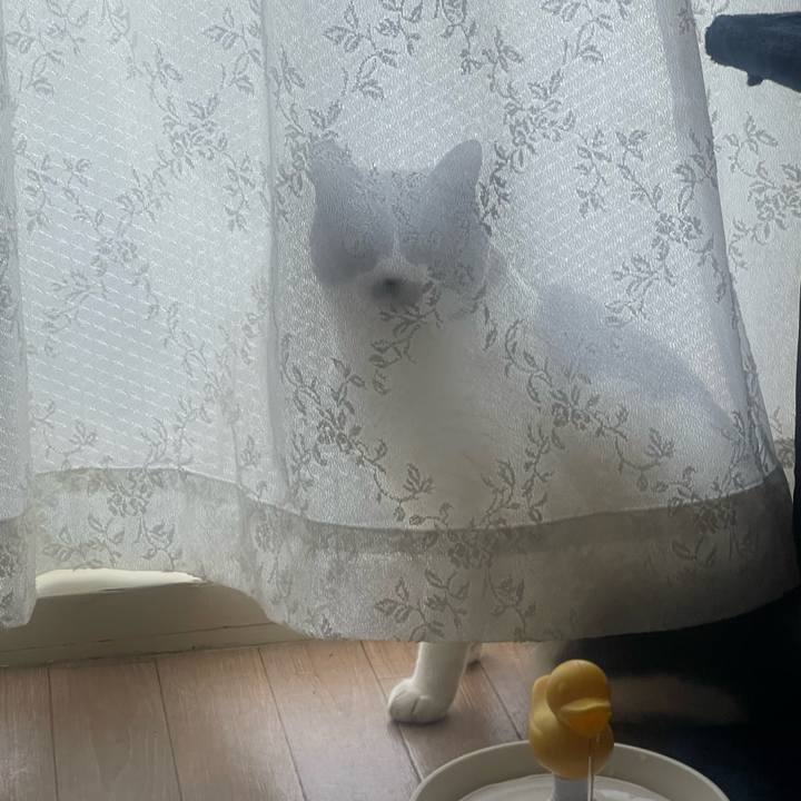 87e95996 2c17 4dd1 b381 794aa220866d 1712663686163