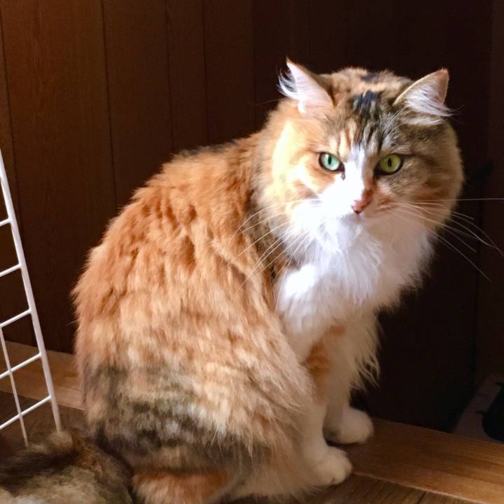 87e96851 d1a0 4297 8441 bb2a380fad0c 1567998541985