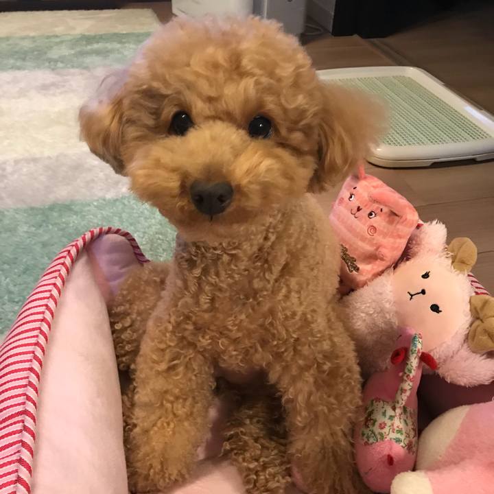 87e98c76 c745 4891 b8d7 4abcc85b564c 1518084687865