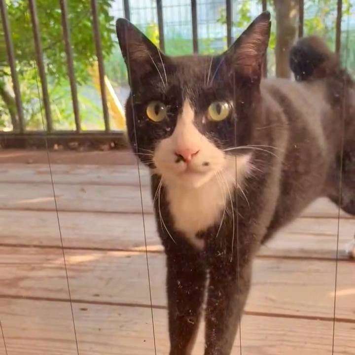 87e98d42 af80 43bf bc3d cfb3c7c86488 1751363848276