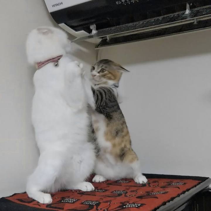 87e99f7f 2509 48d8 8cb3 bfe840ffdb8e 1668077202877