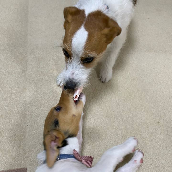 87e9b0a2 84cc 43bf aba3 d21d3eb103a1 1746621404389