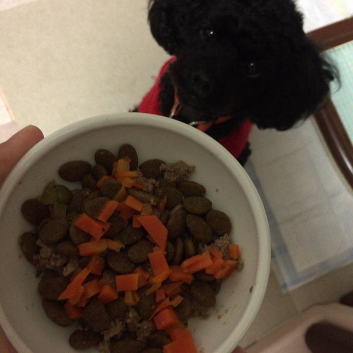 87e9b306 0dba 451f 85b6 9dfcd3282e23 1511860307018