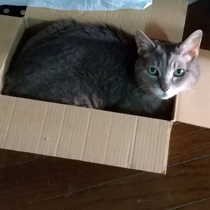 87ea2386 cdab 42dd be8c 9f59606ec544 1694558600938