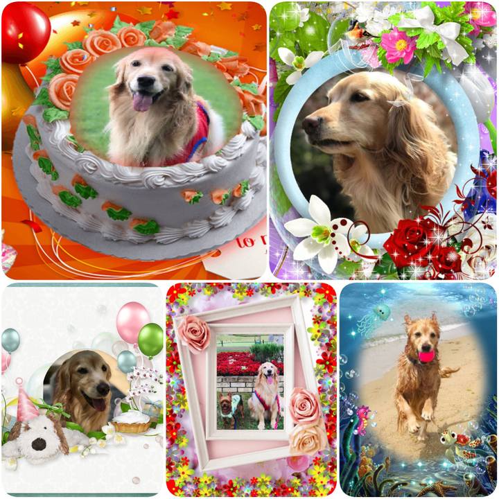 87ea37d8 e813 437a afe0 5544b1c1374c 1595605012628