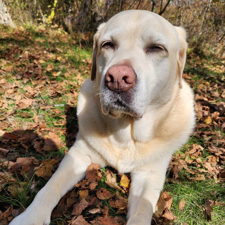 87ea3ae4 c80a 40ea 8fc8 3ade2c114507 1761277173612