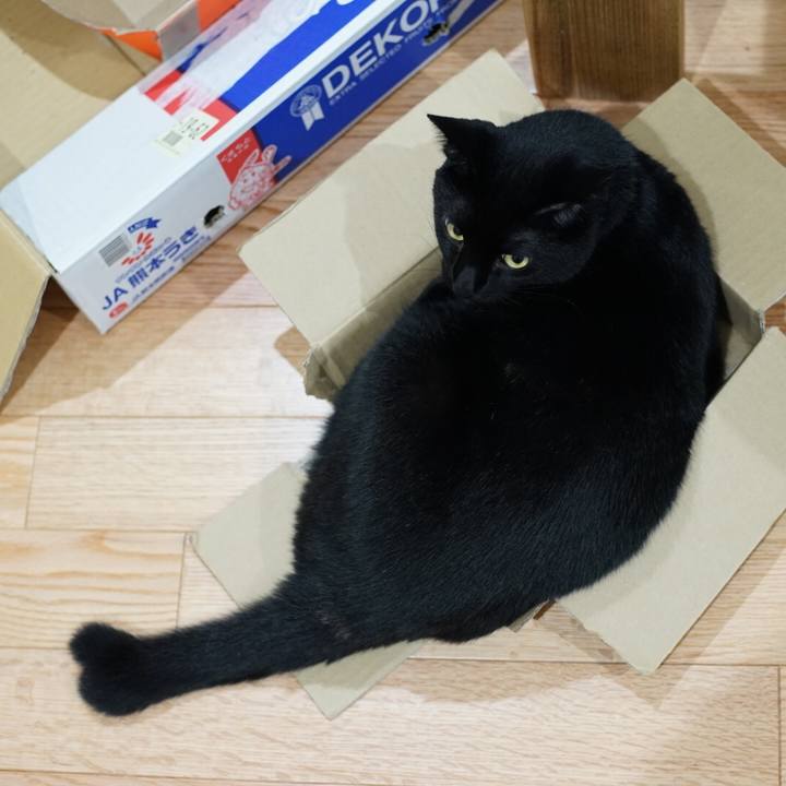 87ea45ab 22c0 4677 85a0 84b1b0145d11 1546067406613