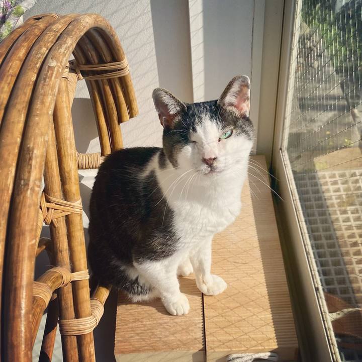 87ea6f71 2044 4938 89c2 4a671d448c53 1618961191654