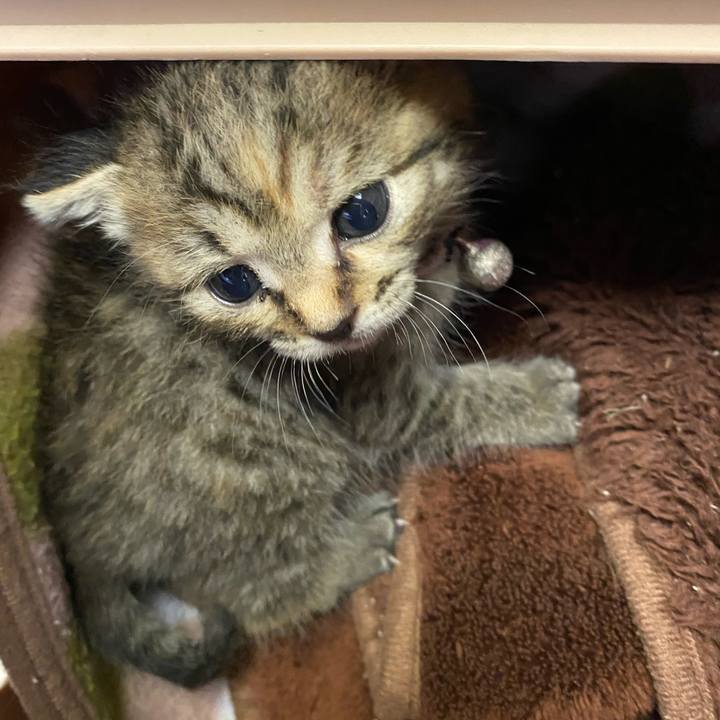 87ea74c0 a665 4c6b 86a5 c768180ff26b 1636171172049