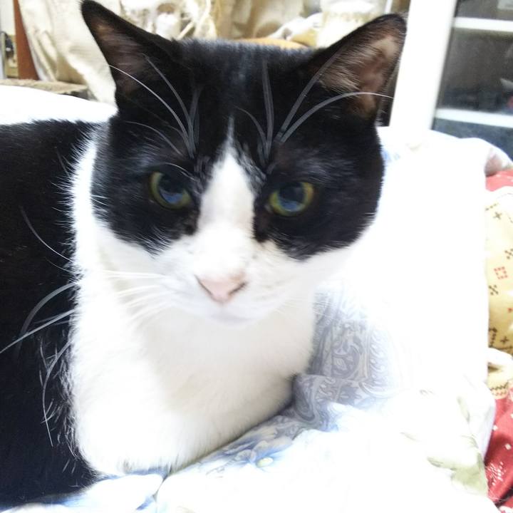 87ea7d4f 1455 4feb ba96 c7c8516c24ee 1546984171892