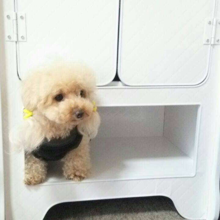 87ea829d fb28 44e8 aaff 6d0c27bd8585 1538728735854