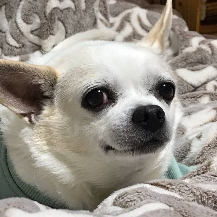 87ead12f 6740 4cd3 b5b4 42ea88866960 1580474091925