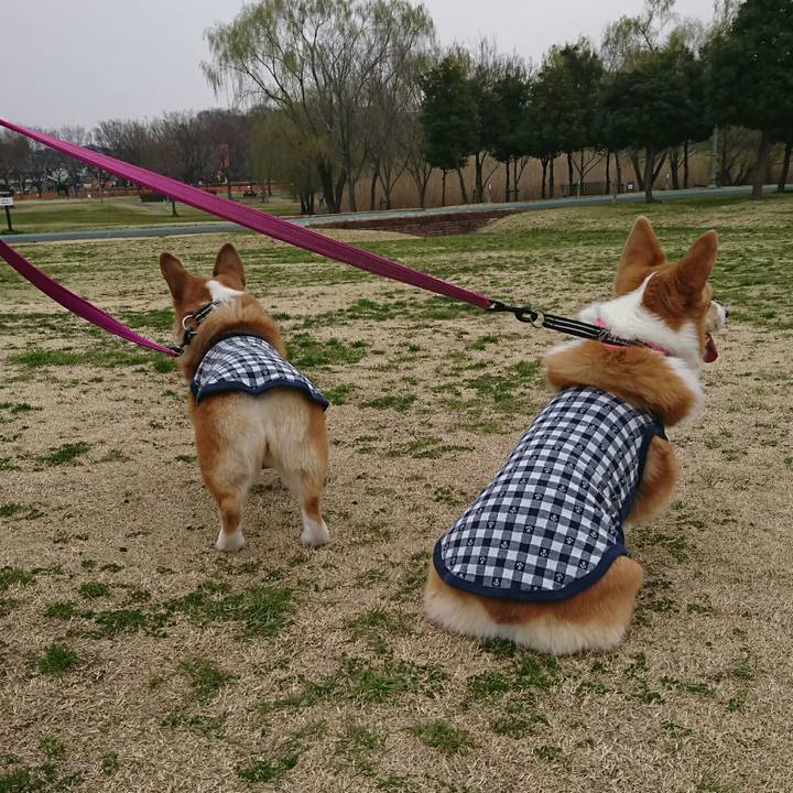 87eafd11 3809 4c9d ba33 434d8eb9ddab 1552710465564