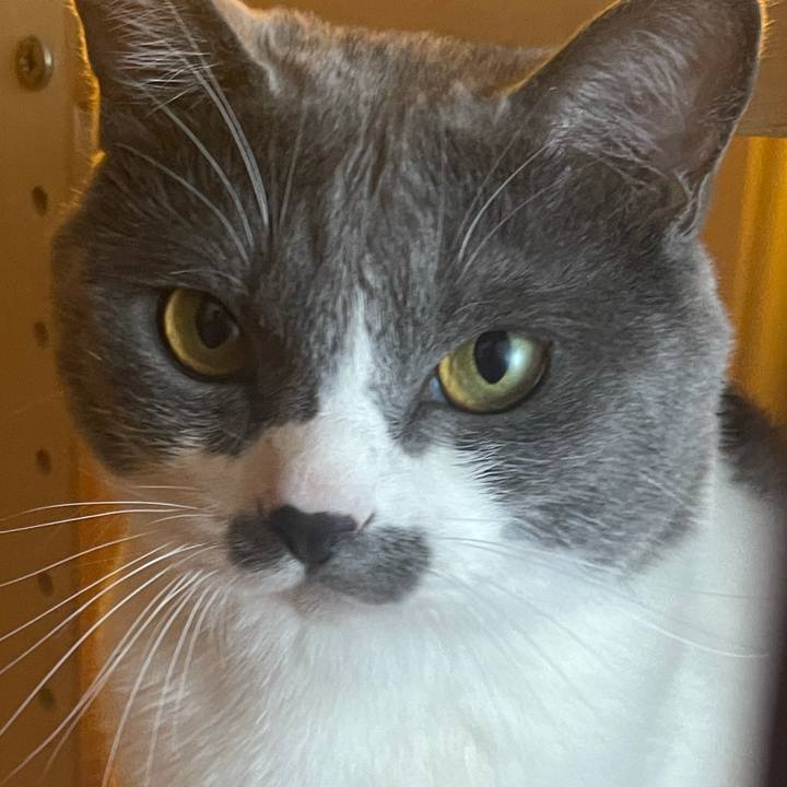 87eb3cd2 a417 4ab1 90e9 aa40b3bc551e 1626142671645