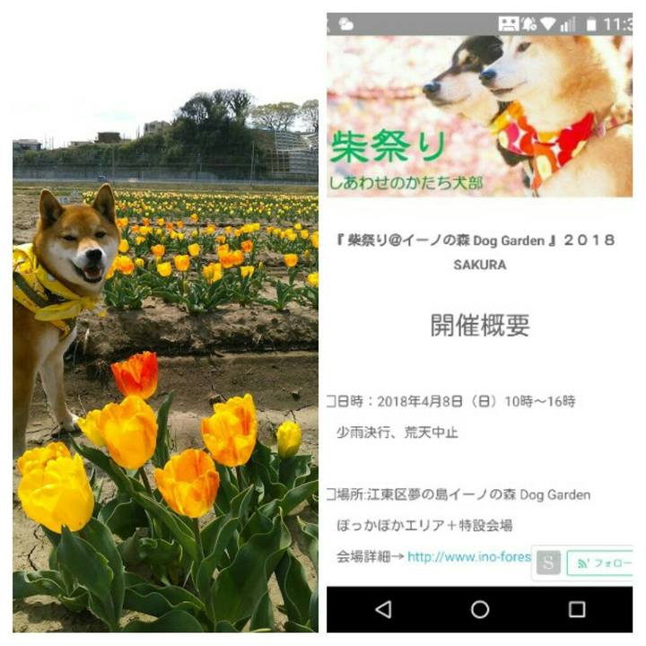 87eb565c 9fdc 4621 a7f7 23123cd9f2ef 1522896700894