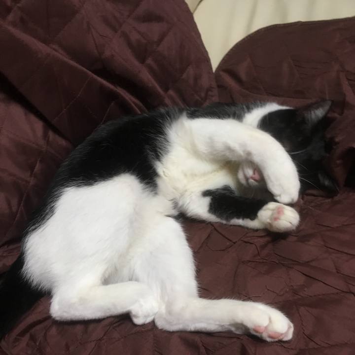 87eb6fc0 660f 49e2 b0c7 cc293d251e59 1548153701835