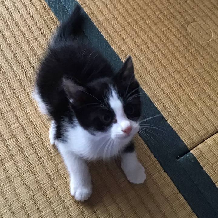 87eb859e 0672 468e 9b38 a796faf242f8 1623372224283