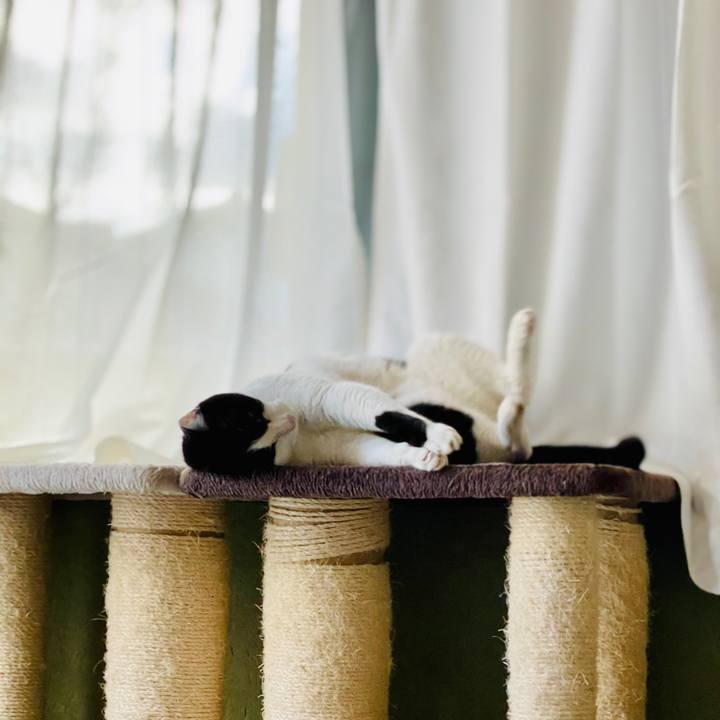 87eba4d7 0543 475e b882 8df595df962c 1610594498937