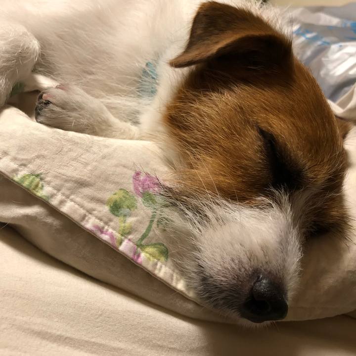 87ebc9d2 01b5 4670 97a0 e05477ef8822 1530444146975