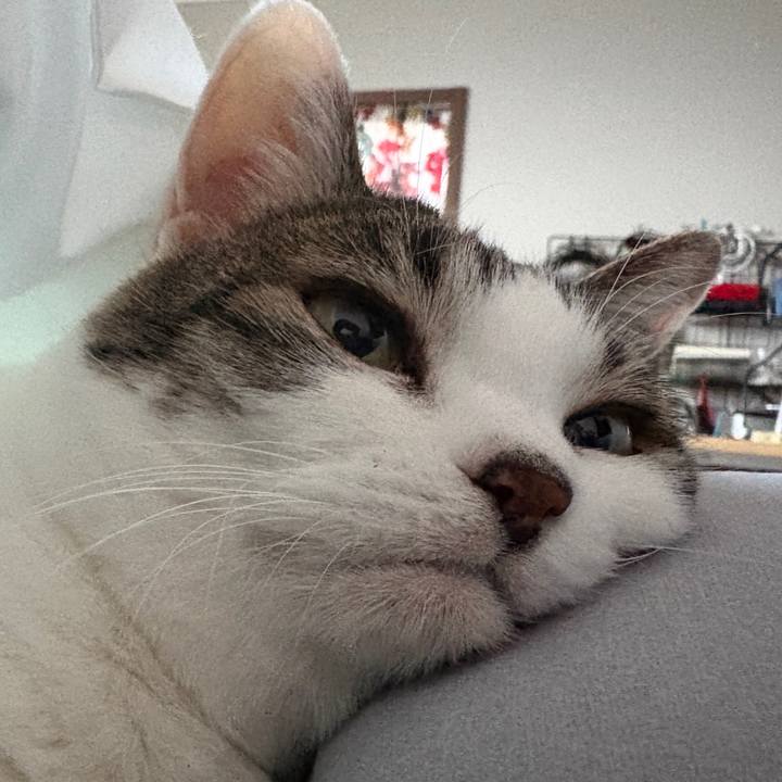 87ebda09 ea7e 43c2 989d 961e6558368a 1771796339281