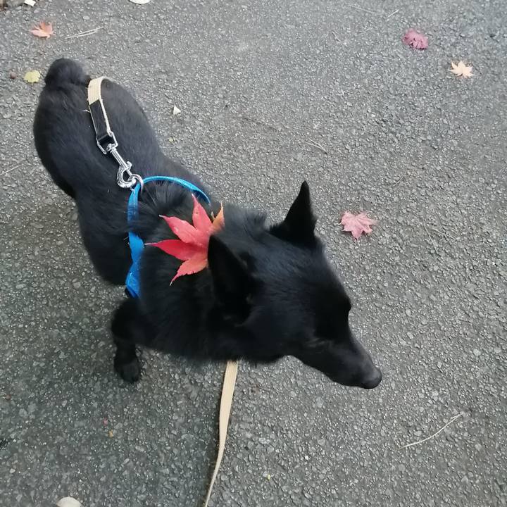 87ebe8aa 87bb 46d8 8390 8e04a9864a57 1607412243988