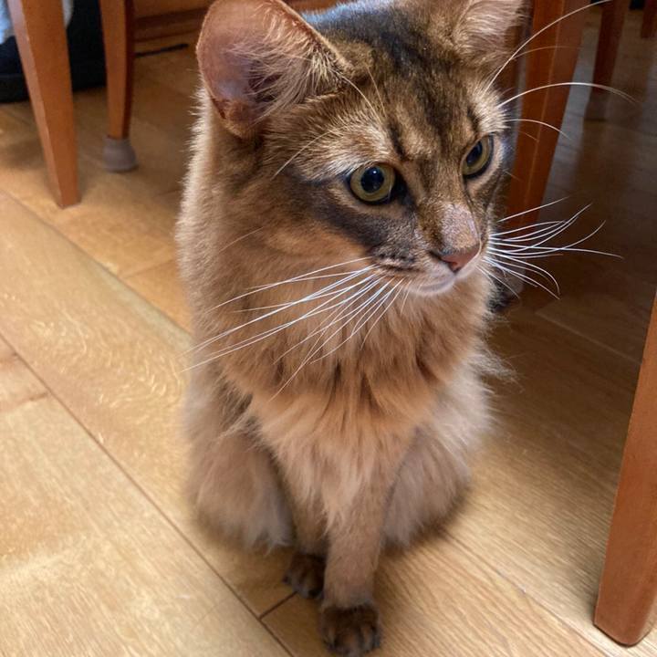 87ebec02 b760 4f54 8e53 8c64f64d3359 1628336144387