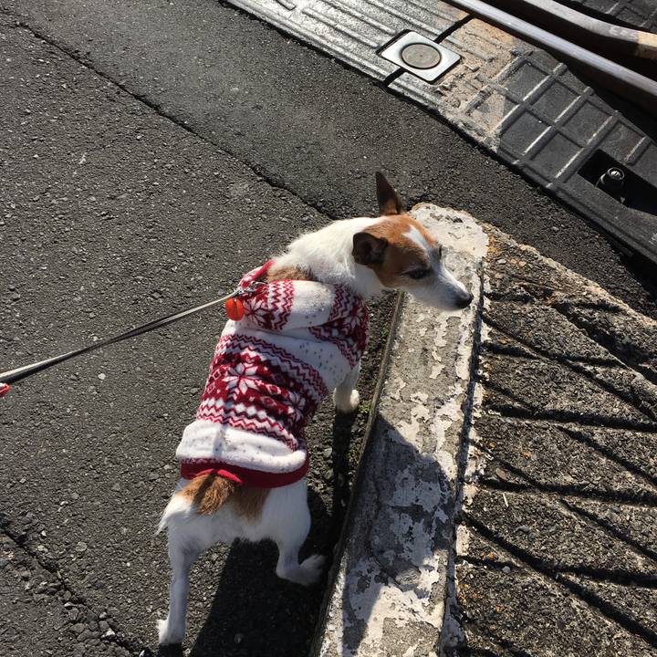 87ec0de1 da5d 407a bb63 e195d2ce2619 1580518700778