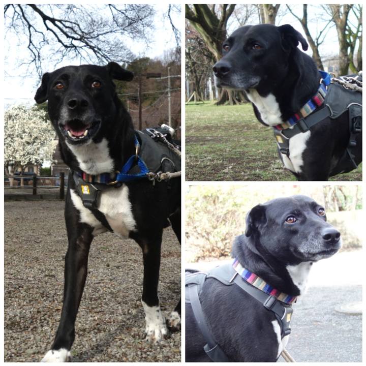 87ec6910 9d4e 488e 9a22 a493efbc0864 1647995904776