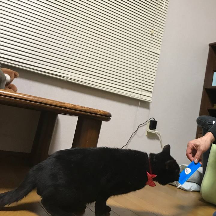 87ec6972 e5da 47bb 8f5a 2fe5e0d39a81 1561245573544