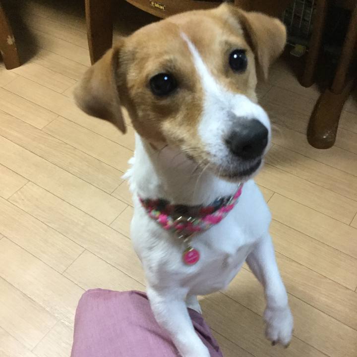 87ec7f10 04e9 4149 85b0 261937f4fa83 1514280635822