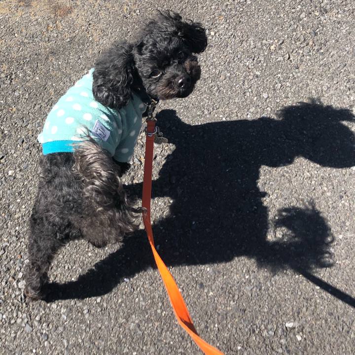 87eca817 0304 4524 ba64 6a922f729521 1582857126184