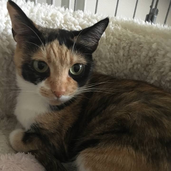 87ecbd41 c4f6 46d1 b18c edc84854a3a0 1509846193629